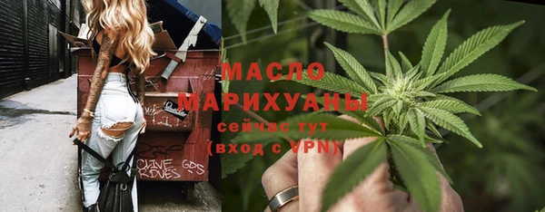 амф Новозыбков