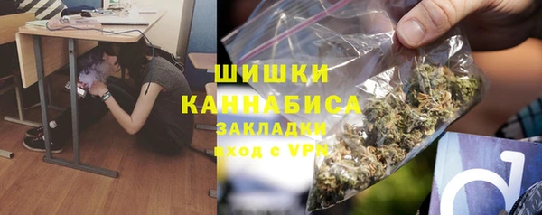 амф Новозыбков