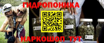 a pvp Аргун