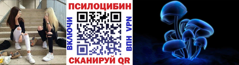 Псилоцибиновые грибы Psilocybe Сафоново