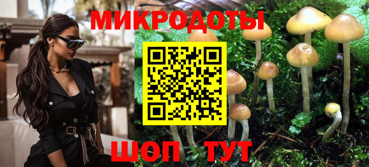 Галлюциногенные грибы MAGIC MUSHROOMS  Вход с VPN  Псилоцибиновые грибы мухоморы  Сафоново 