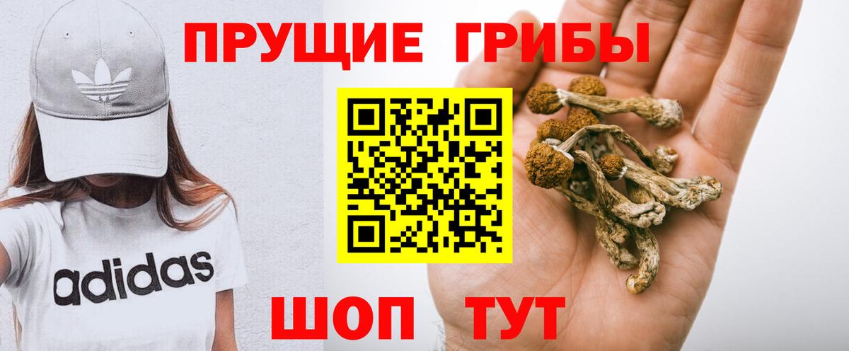 Псилоцибиновые грибы GOLDEN TEACHER Сафоново